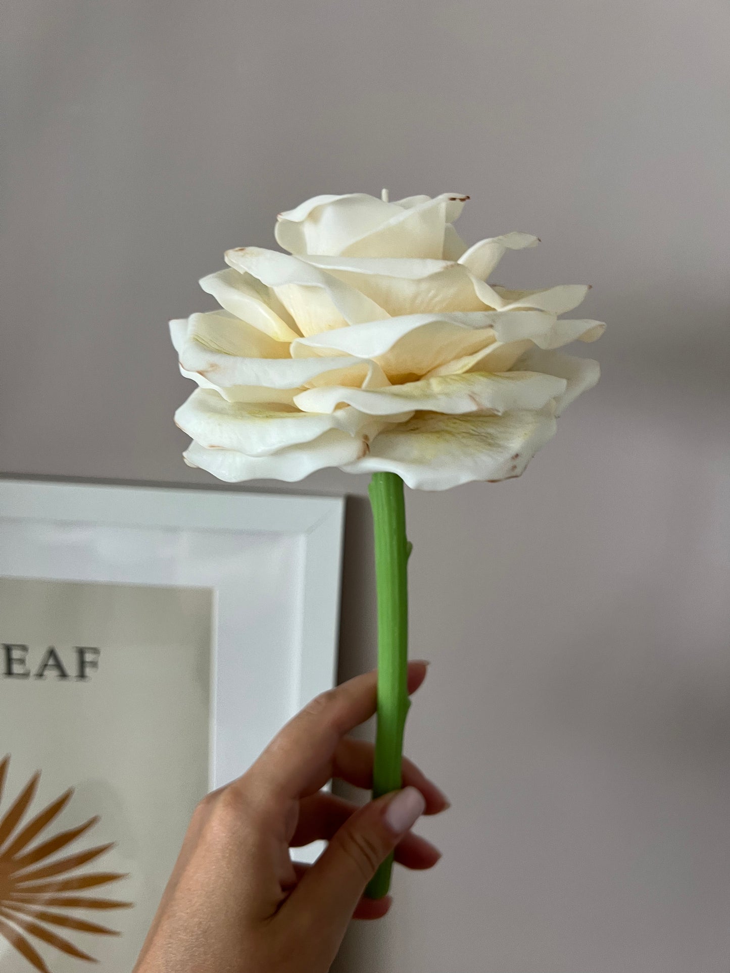 Rose Candle on a steam
