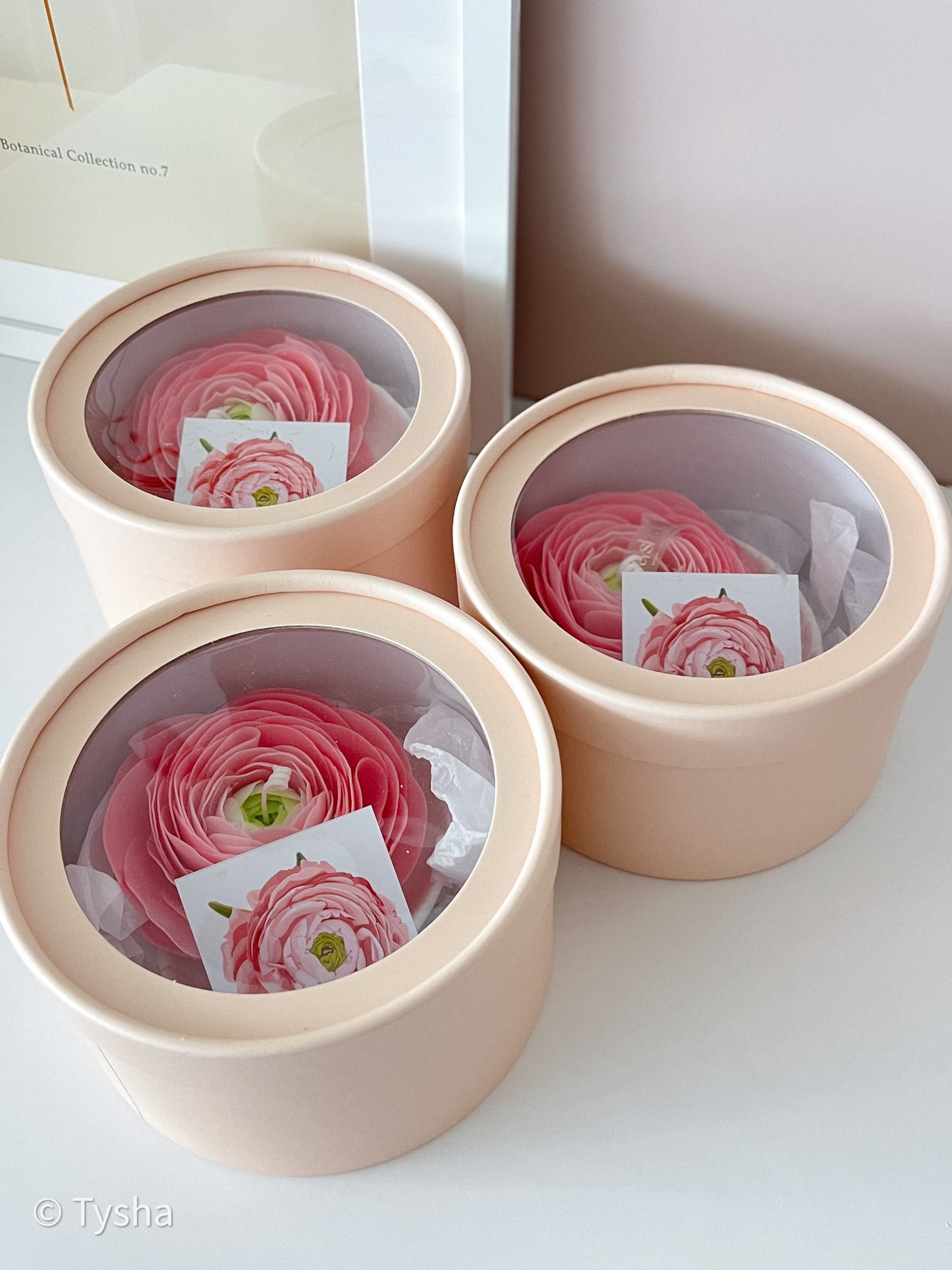 Ranunculus Candle Pink