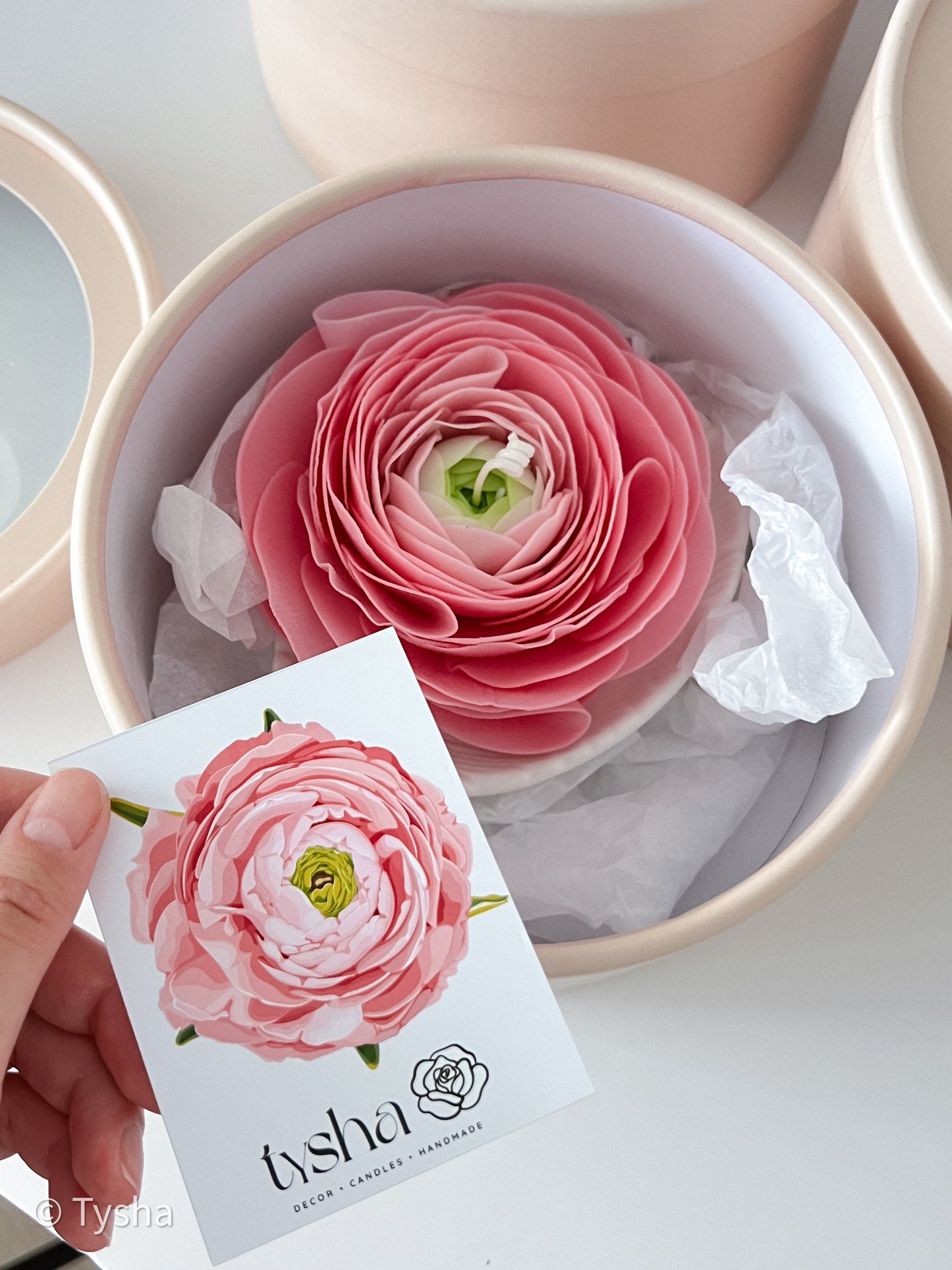 Ranunculus Candle Pink
