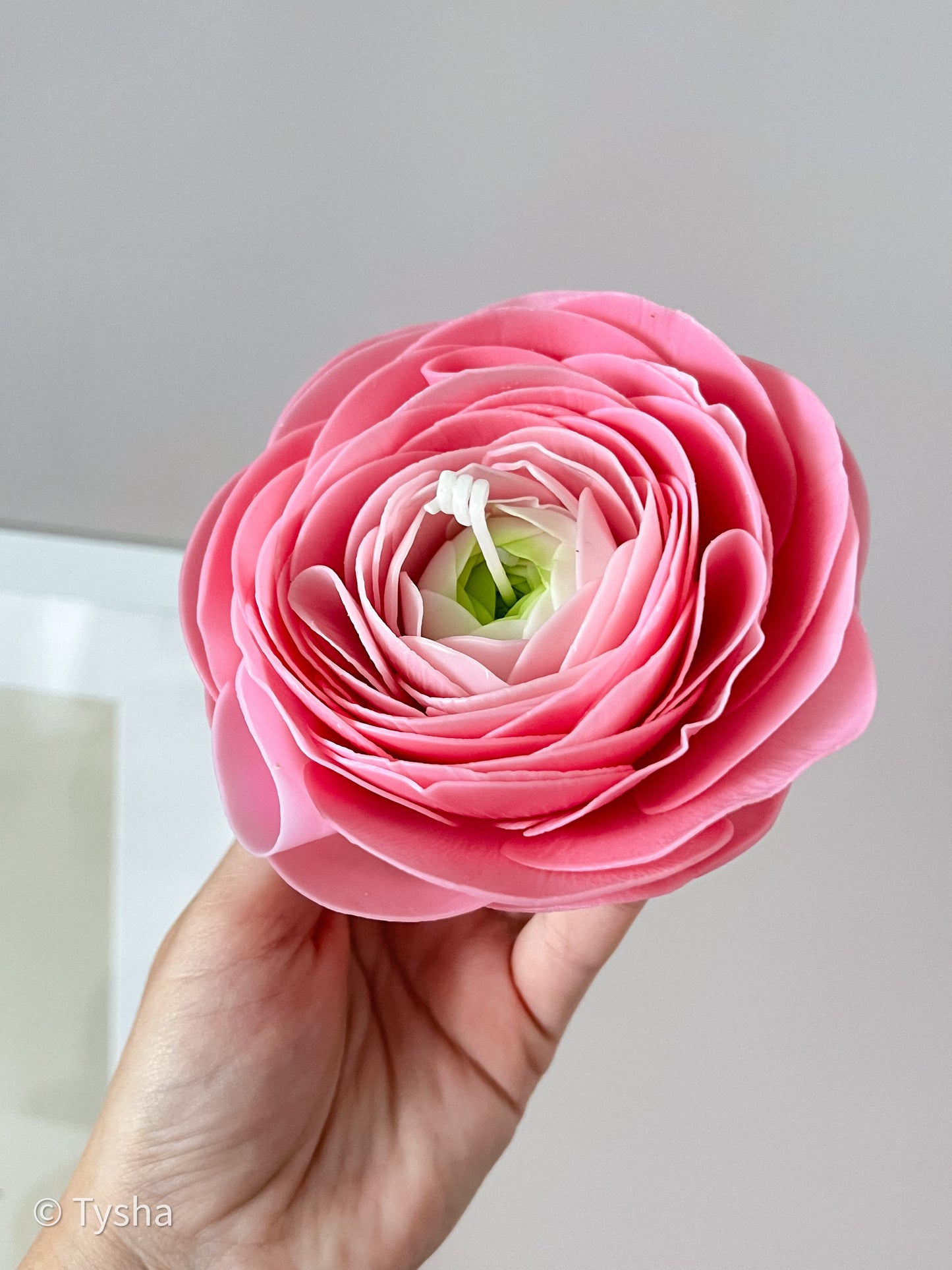 Ranunculus Candle Pink