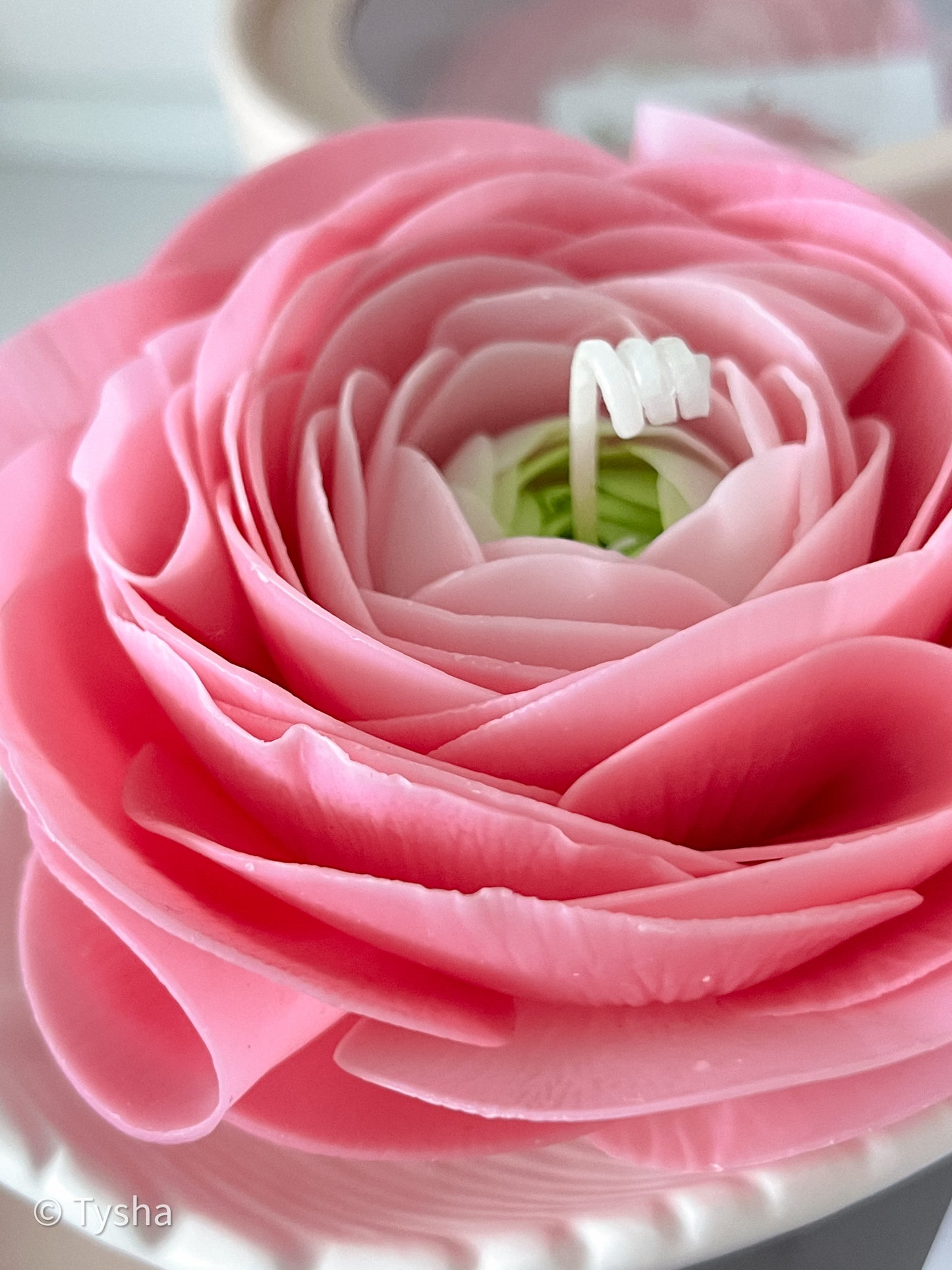 Ranunculus Candle Pink