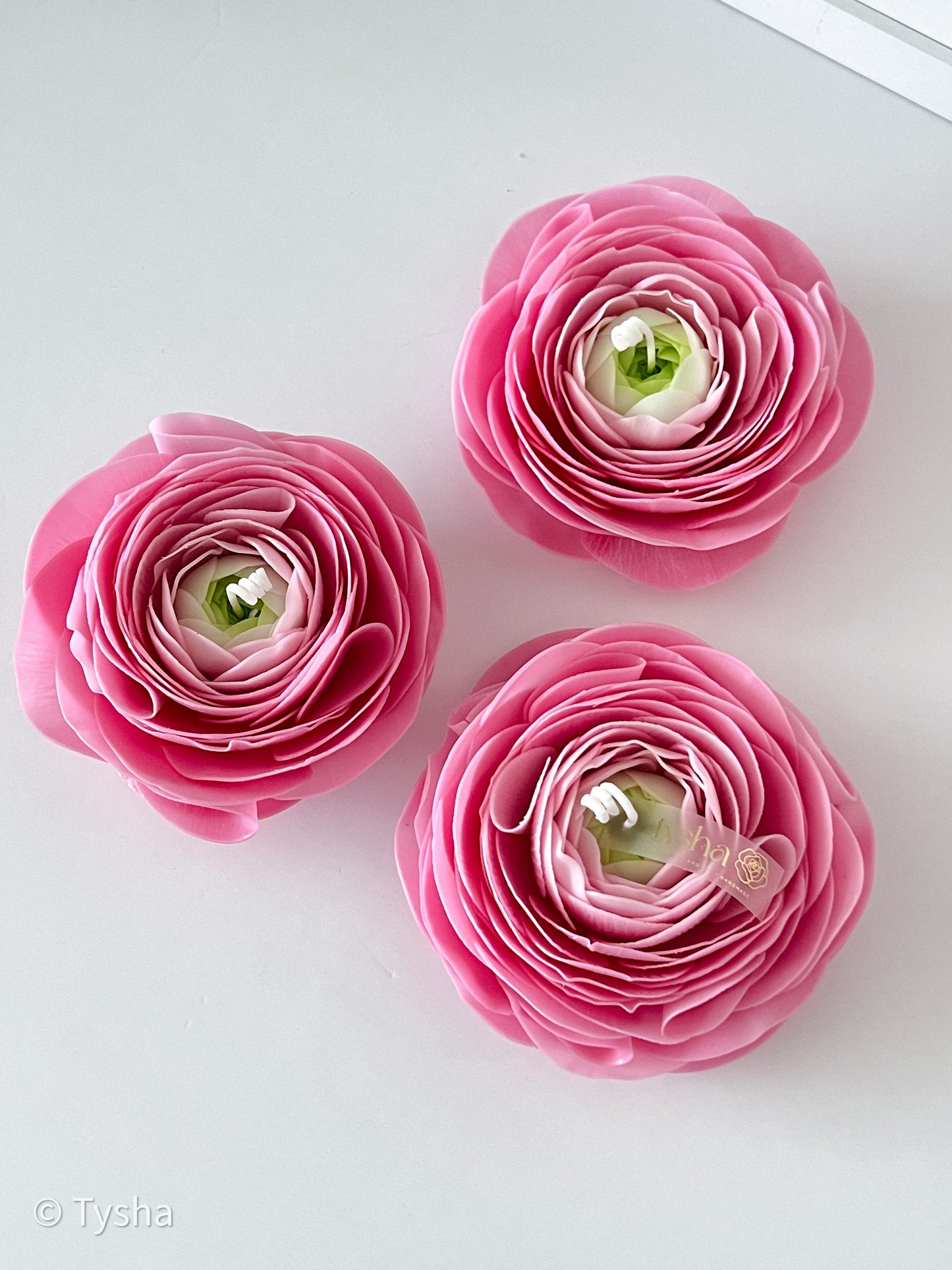 Ranunculus Candle Pink