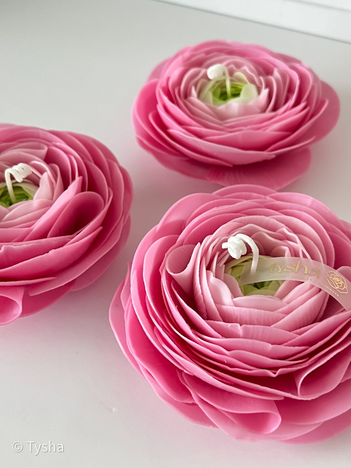 Ranunculus Candle Pink