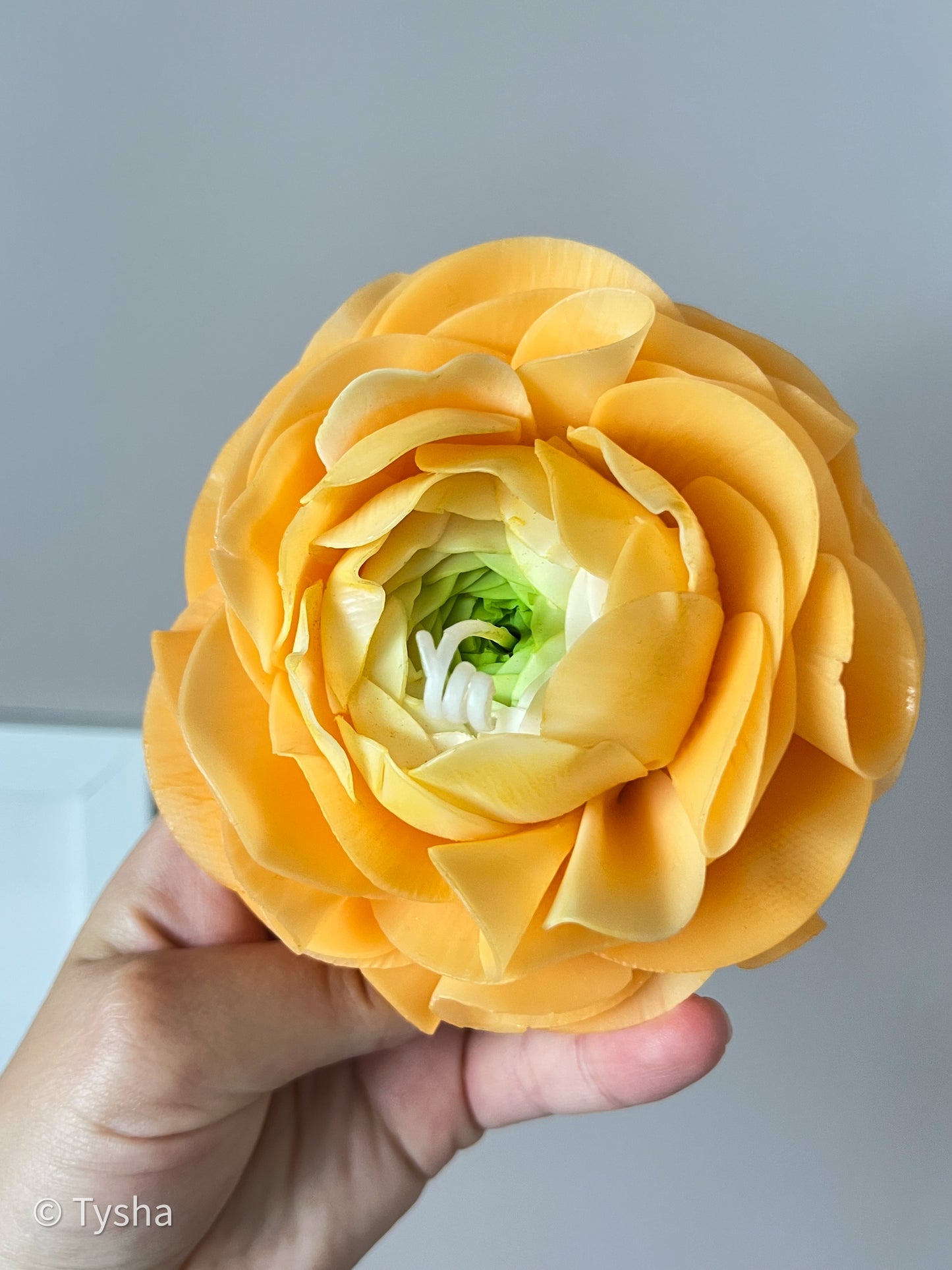 Ranunculus Candle Orange