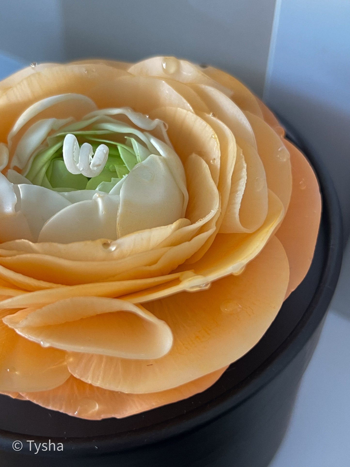 Ranunculus Candle Orange