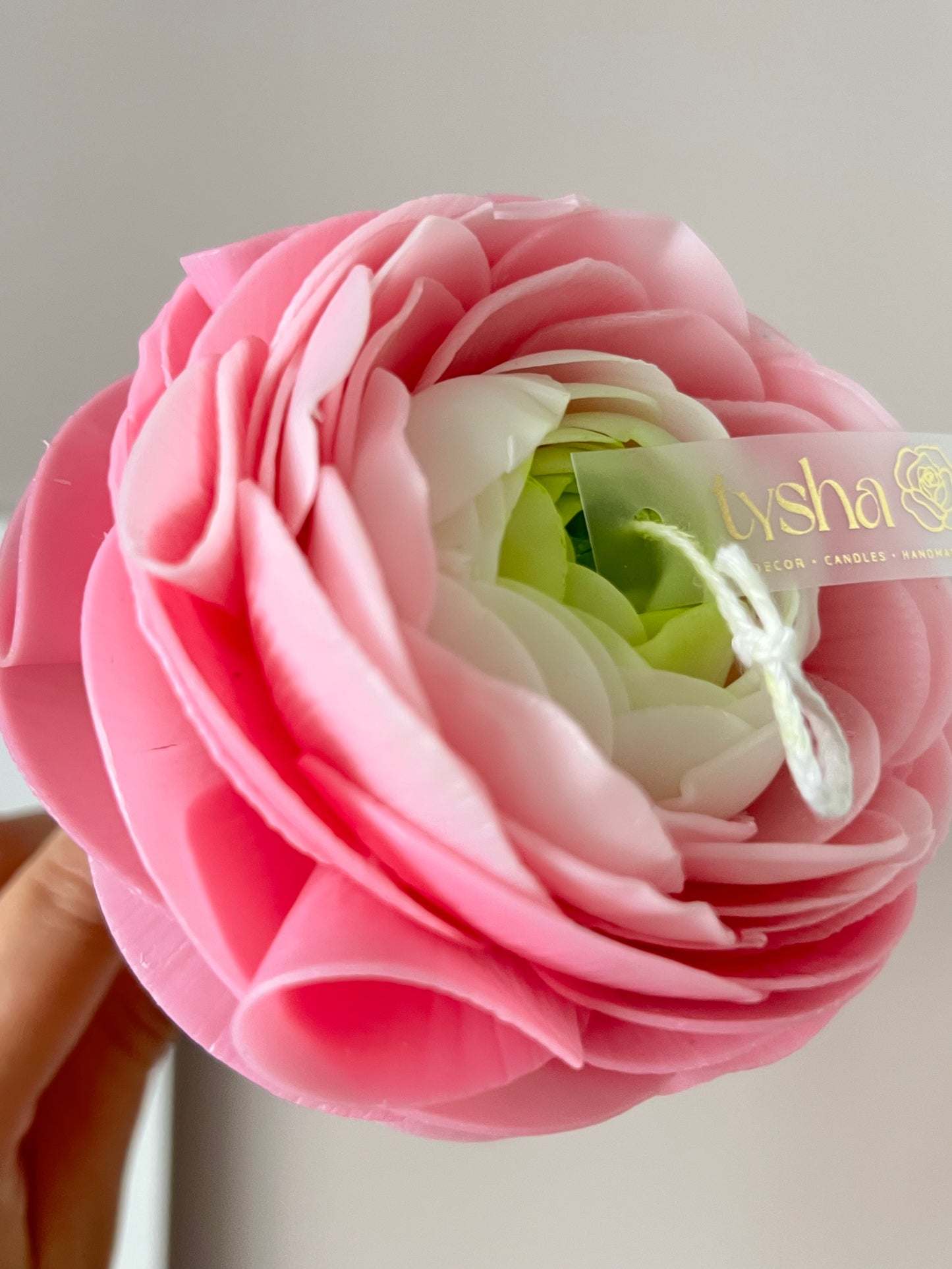 Ranunculus Candle on a steam Pink