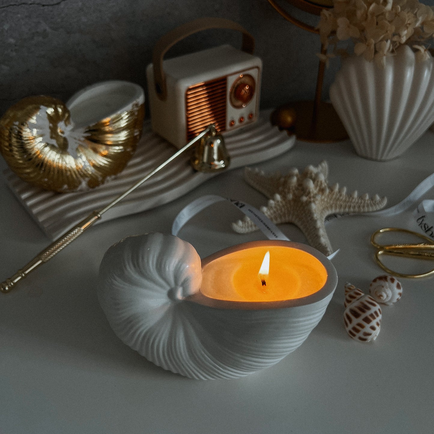 Nautilus Scented Candle MUSHLY