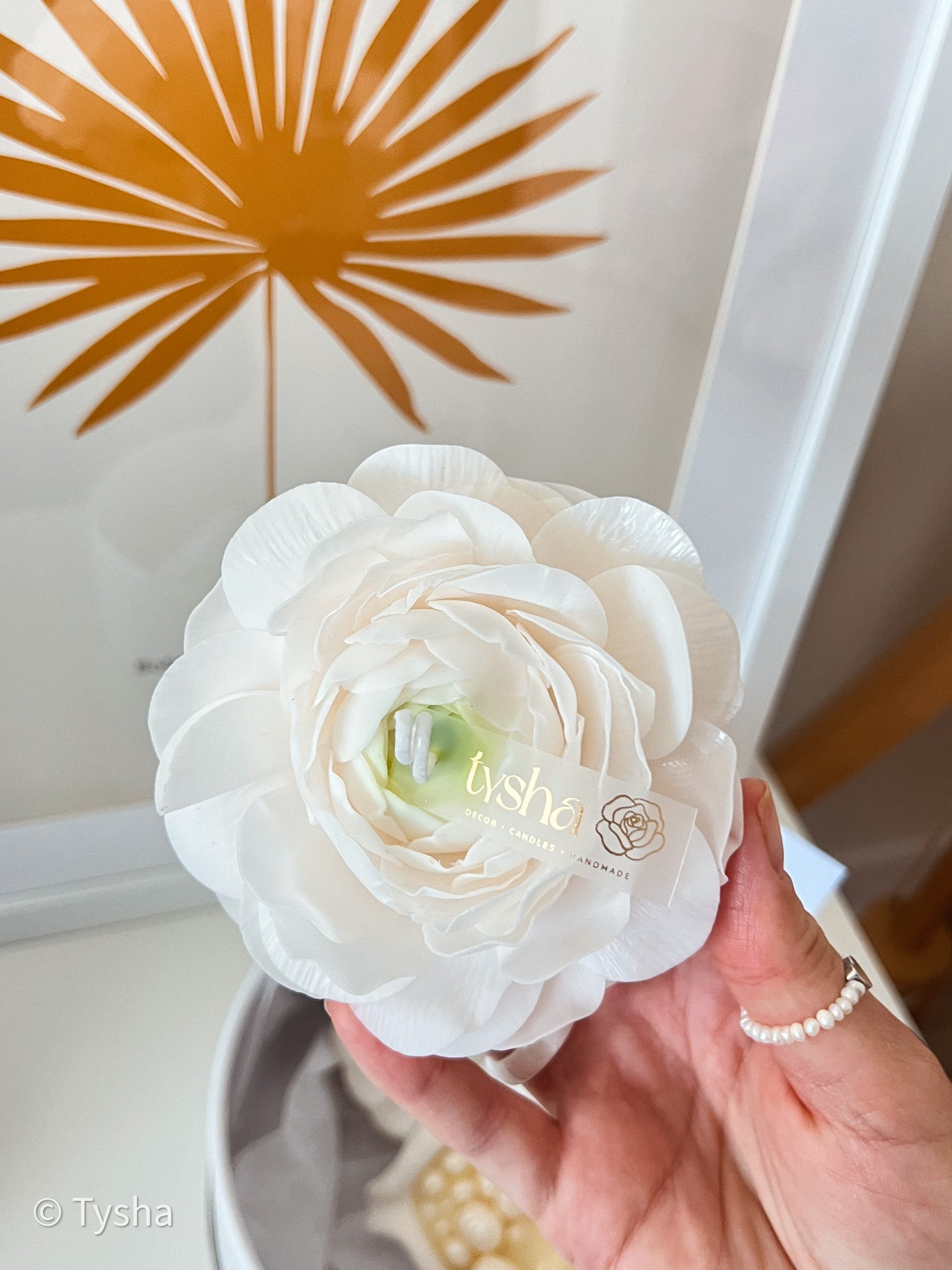 Set FLORIDA Ranunculus