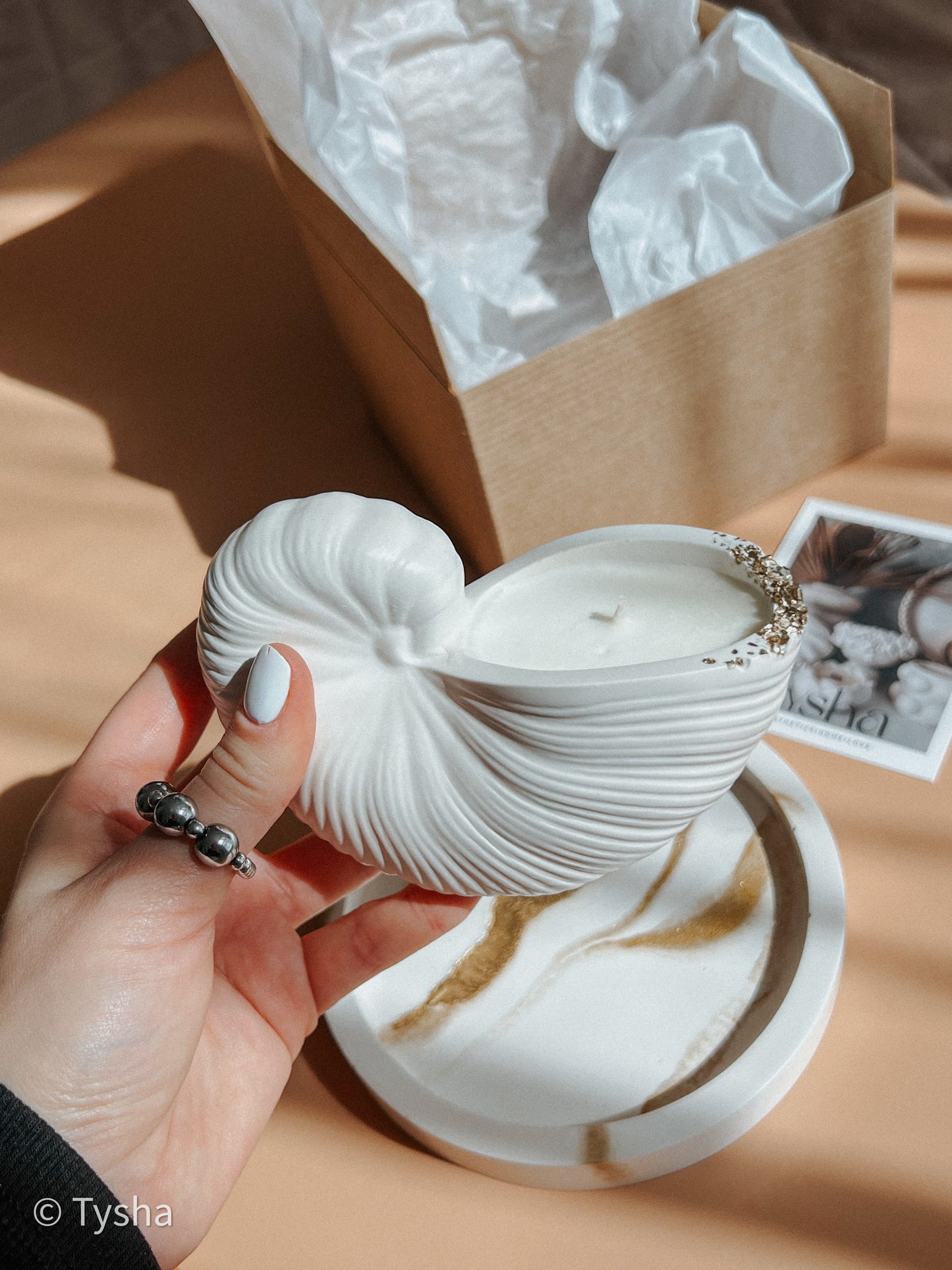 Nautilus Scented Candle Set