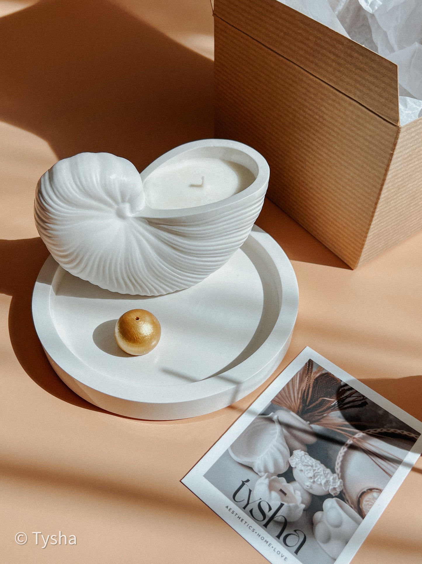 Nautilus Scented Candle Set