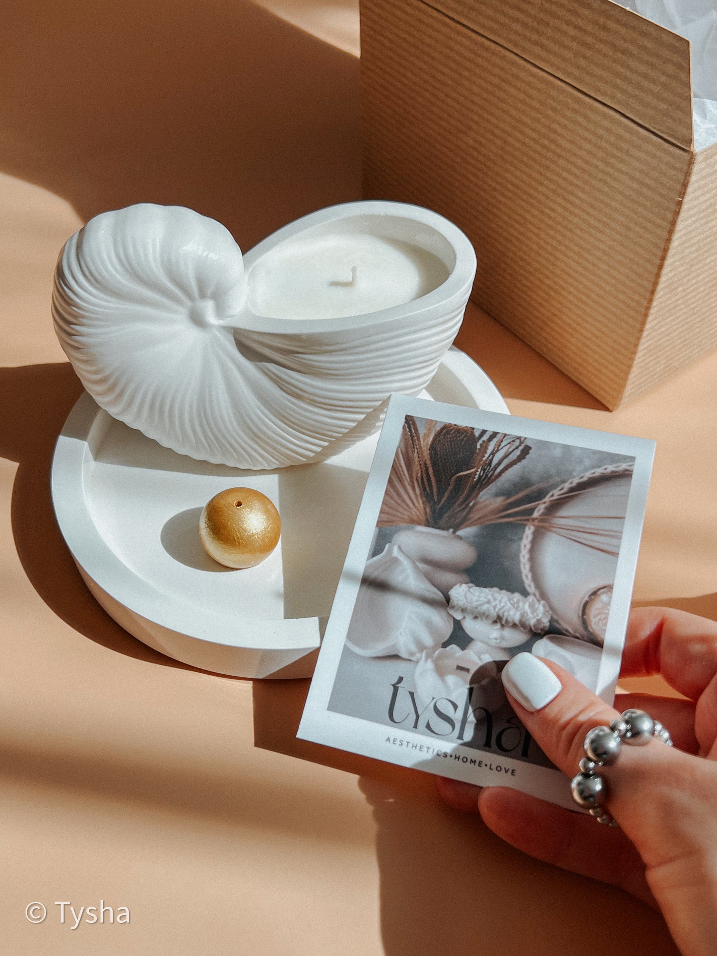 Nautilus Scented Candle Set