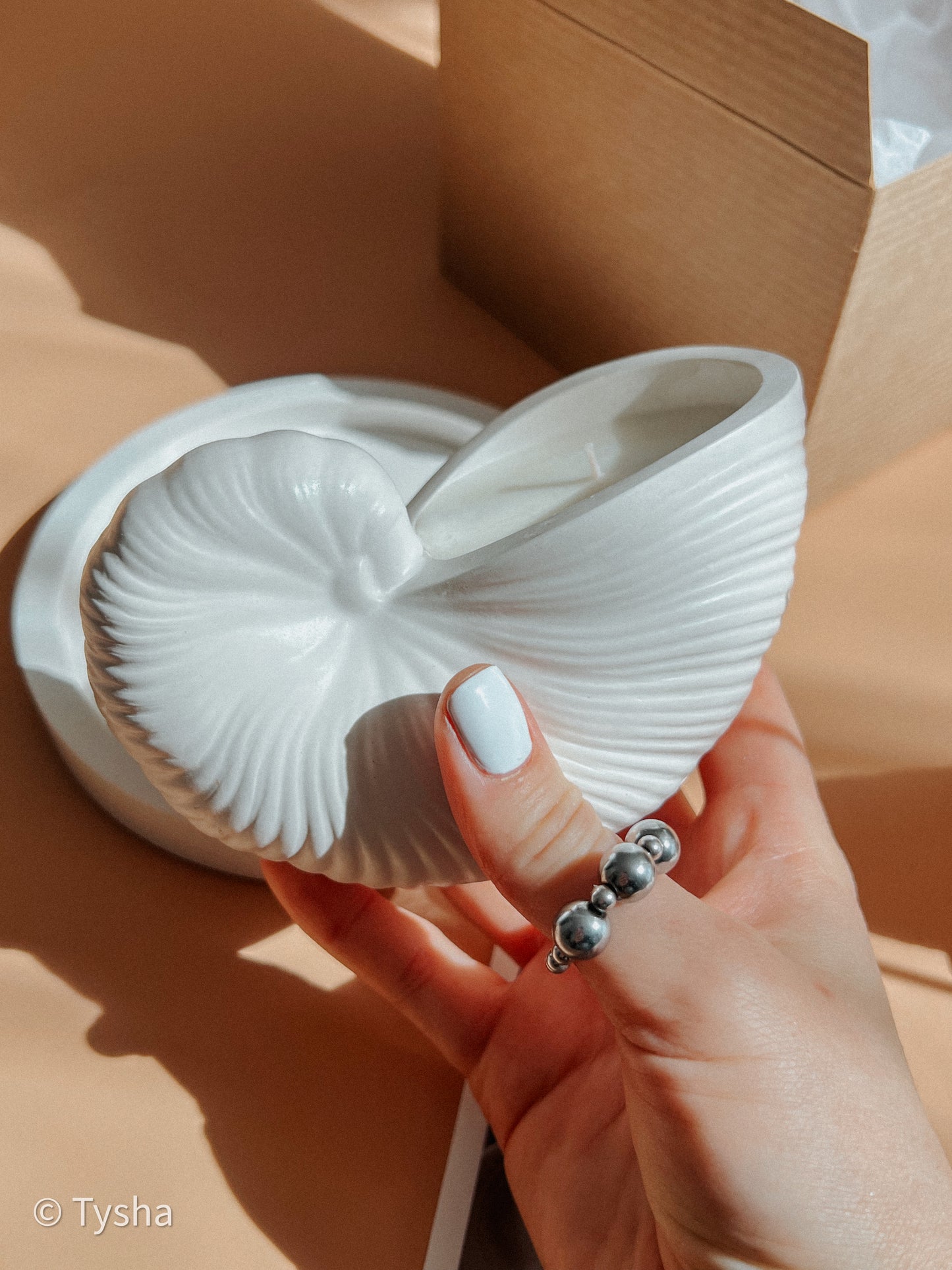 Nautilus Scented Candle Set