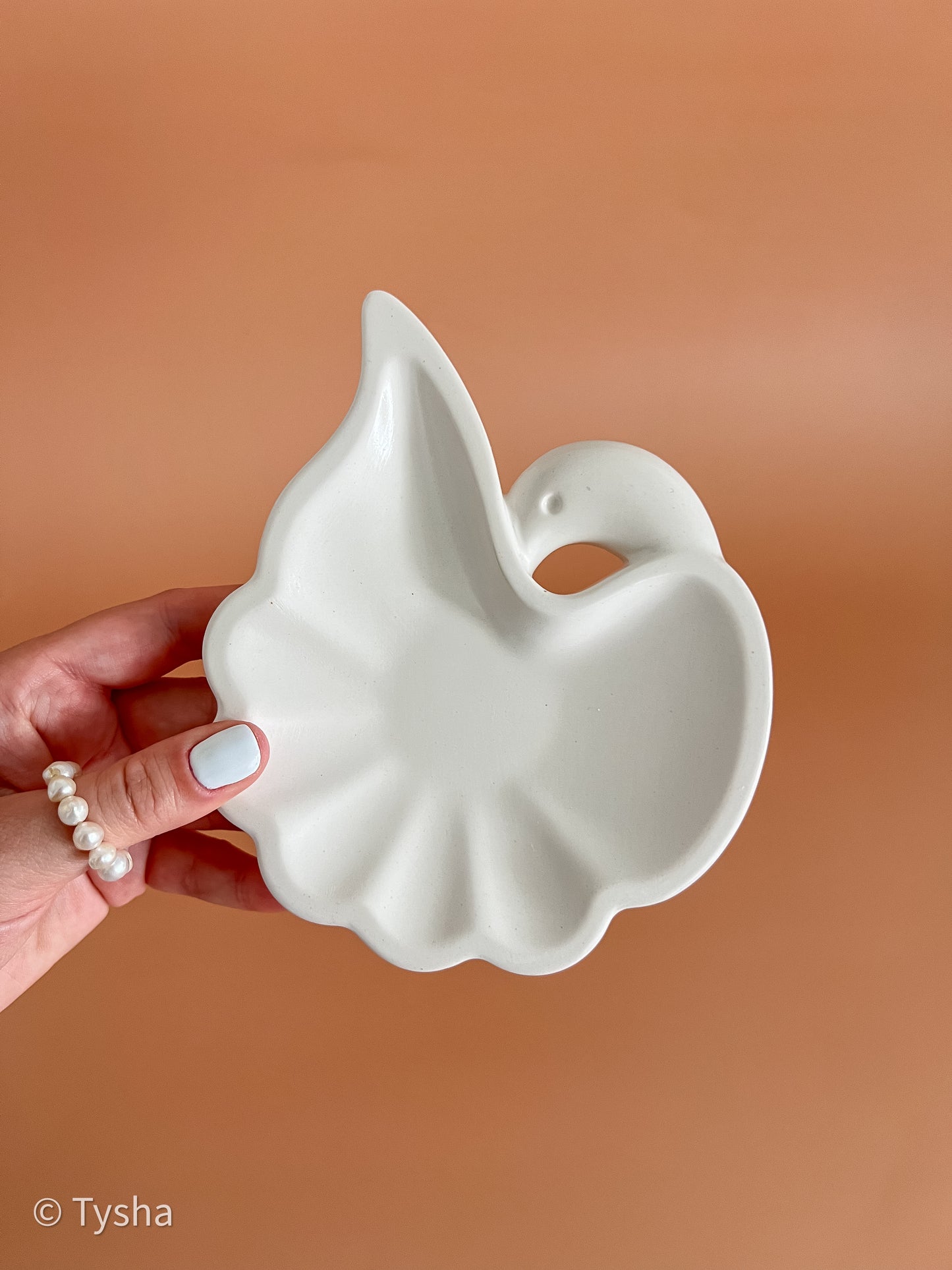 Tray Swan