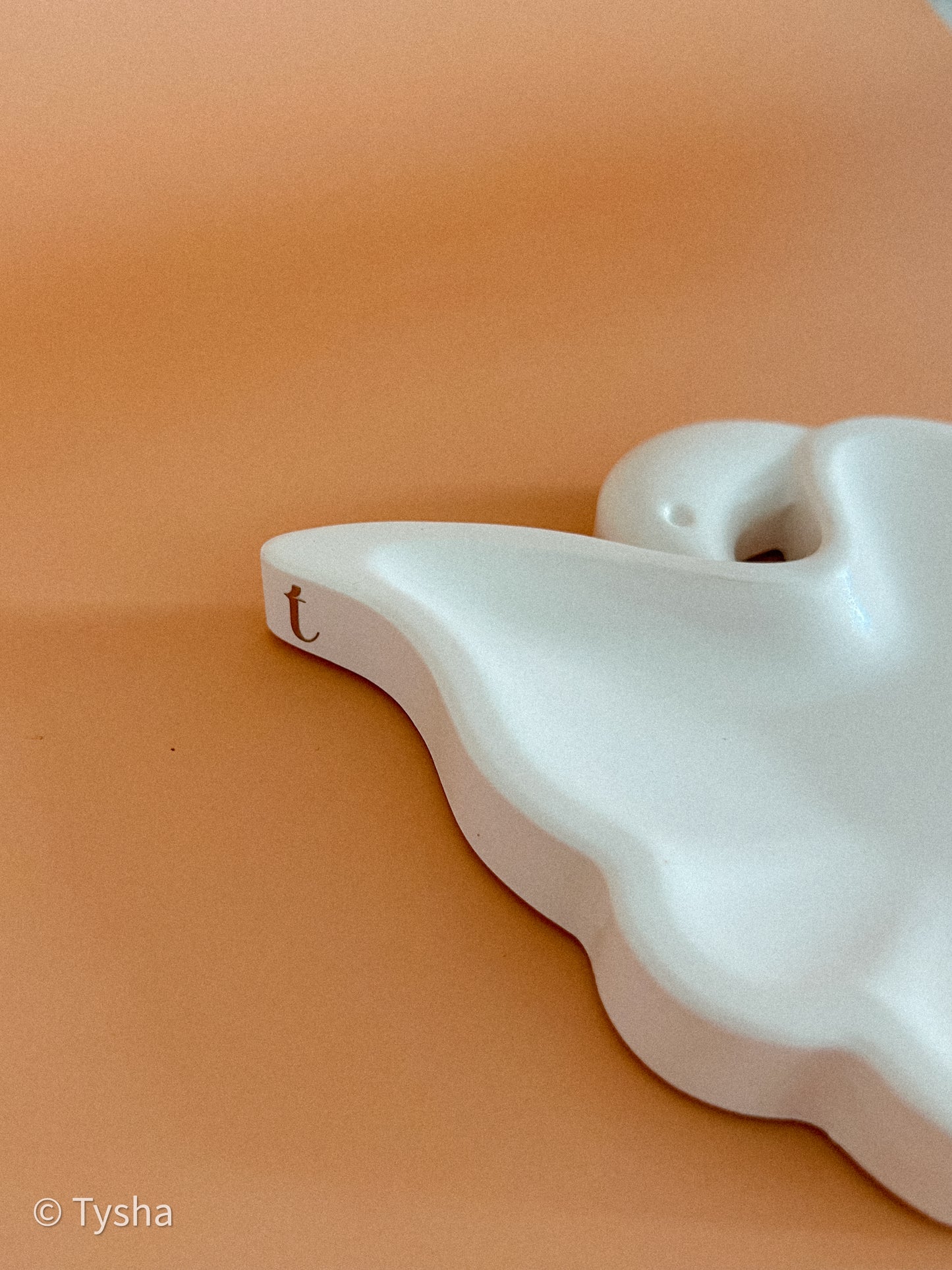 Tray Swan